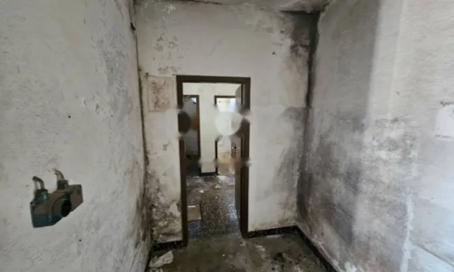 Недвижимость Семейный дом 250 м² в центре Опатии: 12