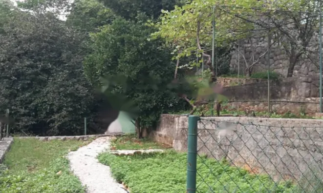 Недвижимость Семейный дом 482 м², Центр, Опатия: 5