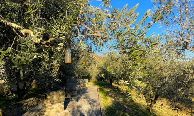 Недвижимость Дом, Кркавче: 10