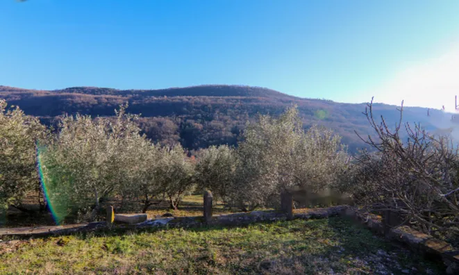 Недвижимость Дом, Кркавче: 18