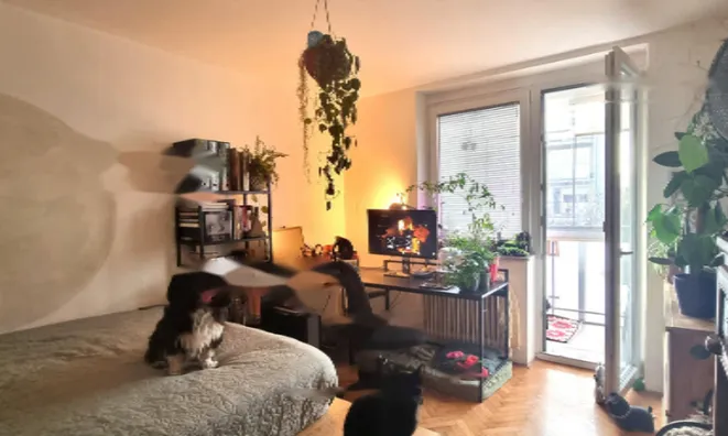 Недвижимость Однокомнатная квартира Вич: 3