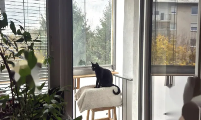 Недвижимость Однокомнатная квартира Вич: 8