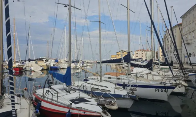 Недвижимость Пятикомнатная квартира Пиран: 22