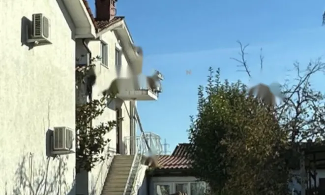 Недвижимость Трёхкомнатная квартира Шалара: 16