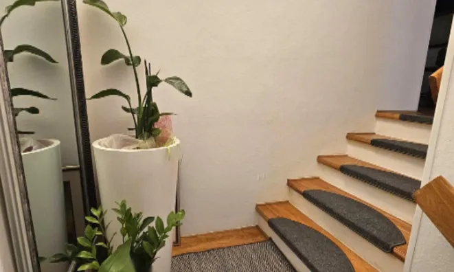 Недвижимость Трёхкомнатная квартира в Центре: 6