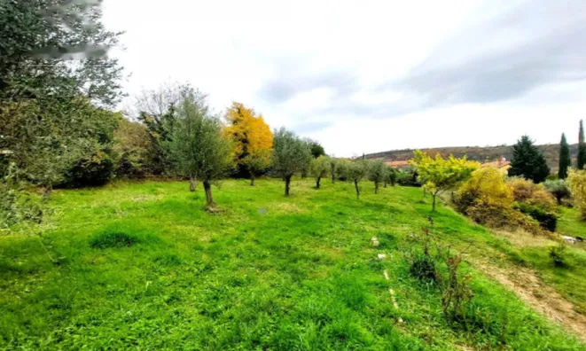 Недвижимость Дом с террасой Новый Сргаши: 27