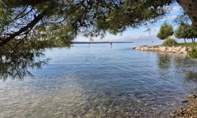 Недвижимость Двухкомнатная квартира Новая Сеча: 10