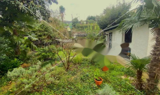 Недвижимость Трехкомнатная квартира в центре: 13