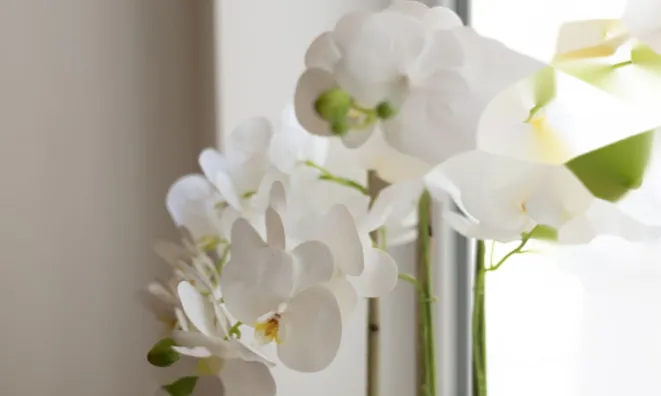 Недвижимость Old Church Street: 11