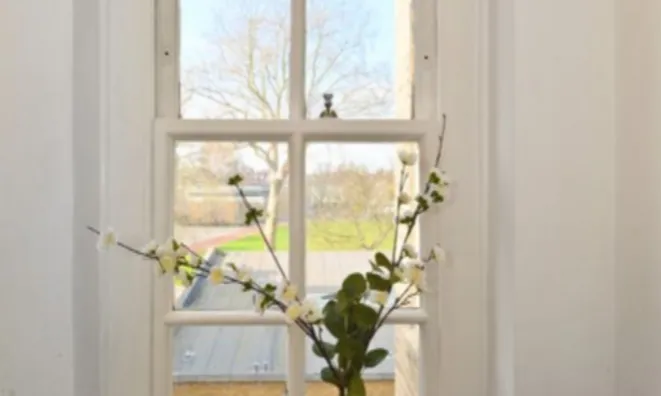 Недвижимость Turks Row: 4