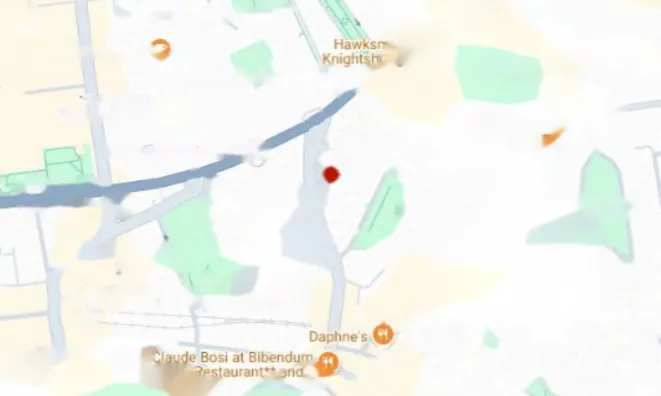 Недвижимость Egerton Gardens: 11