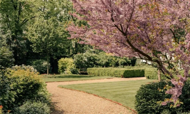 Недвижимость Carlyle Square, Chelsea: 5