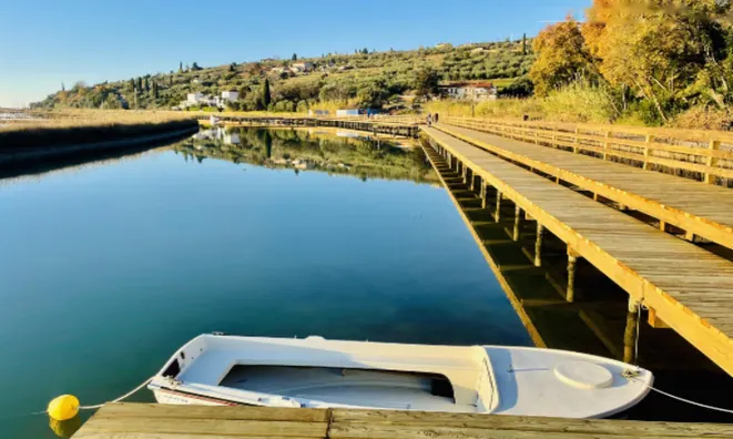 Недвижимость Новое трёхкомнатное жильё Сеча: 20