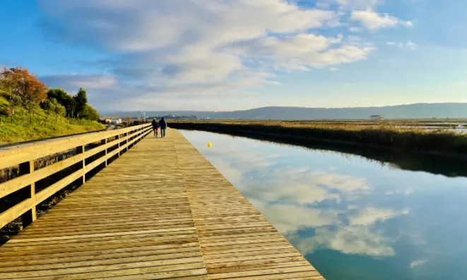 Недвижимость Новое трёхкомнатное жильё Сеча: 21
