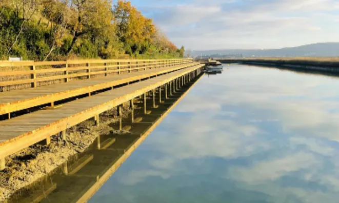 Недвижимость Новое трёхкомнатное жильё Сеча: 22