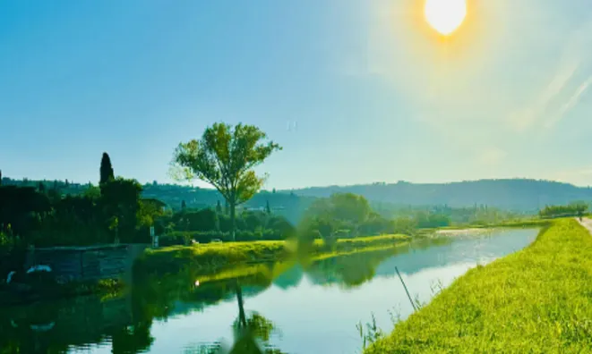 Недвижимость Новое трёхкомнатное жильё Сеча: 29