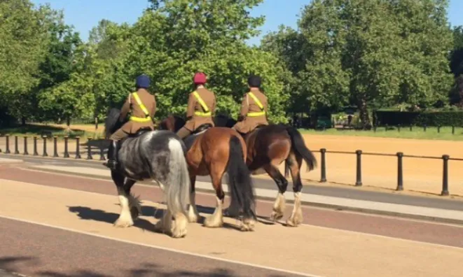 Недвижимость Park West, Nr. Marble Arch, Hyde Park Estate: 12