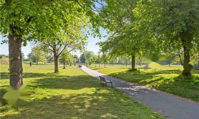 Недвижимость Albany Road: 4