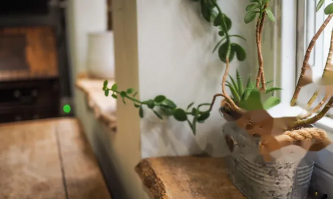 Недвижимость Norfolk House, London, United Kingdom: 19