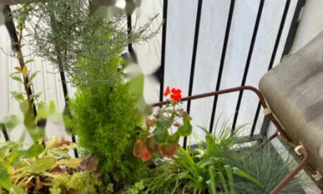 Недвижимость Finchley Road: 4