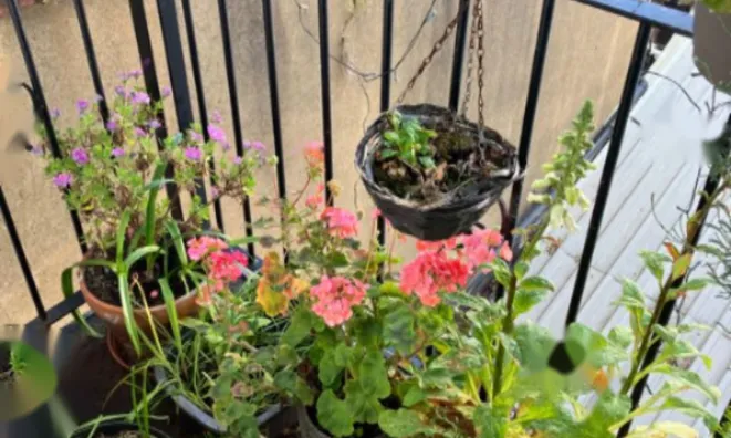 Недвижимость Finchley Road: 5