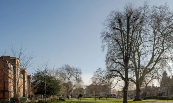 Недвижимость Camberwell Green: 15