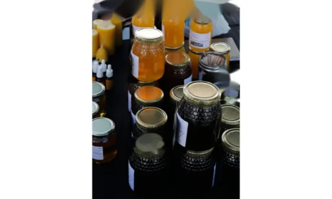 Недвижимость Adamson Road: 7