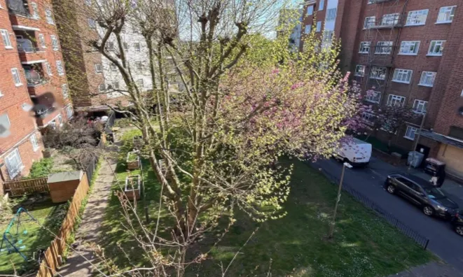 Недвижимость Ravenet Street: 1