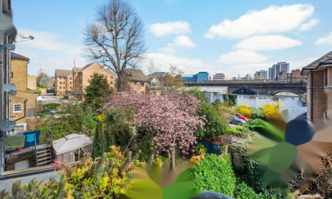 Недвижимость Lime Grove: 3