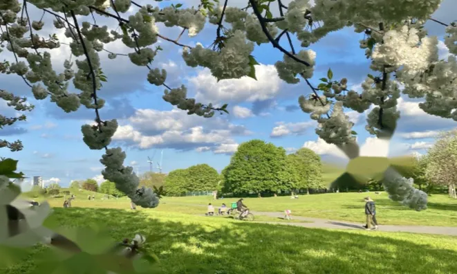 Недвижимость 106 Chandler Way: 3