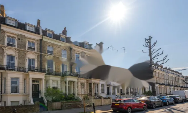 Недвижимость Sutherland Avenue: 9