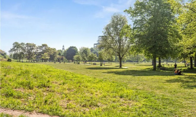 Недвижимость Albany Road: 5