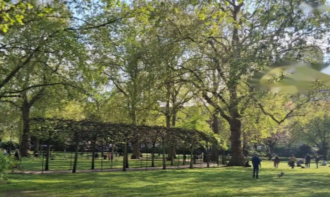 Недвижимость Woburn Place: 2