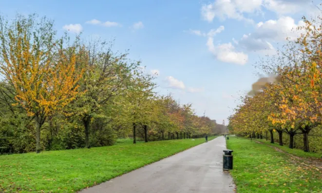 Недвижимость Sumner Road: 3