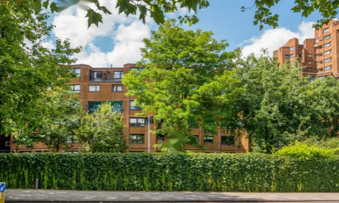 Недвижимость Blantyre Walk: 11