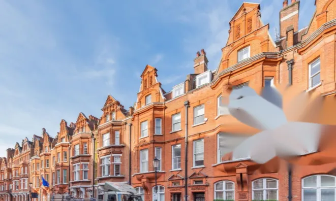 Недвижимость Draycott Place, Chelsea: 11