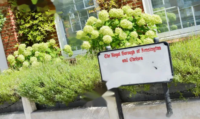 Недвижимость Chelsea Square: 13