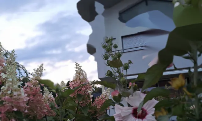 Недвижимость Дом, Шишка: 1