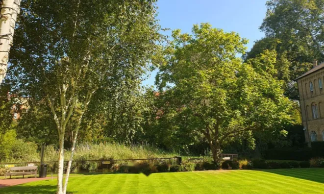 Недвижимость Coleridge Gardens, Kings Chelsea: 7