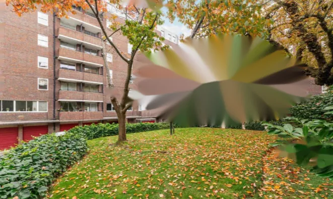 Недвижимость Pier House, Cheyne Walk: 4