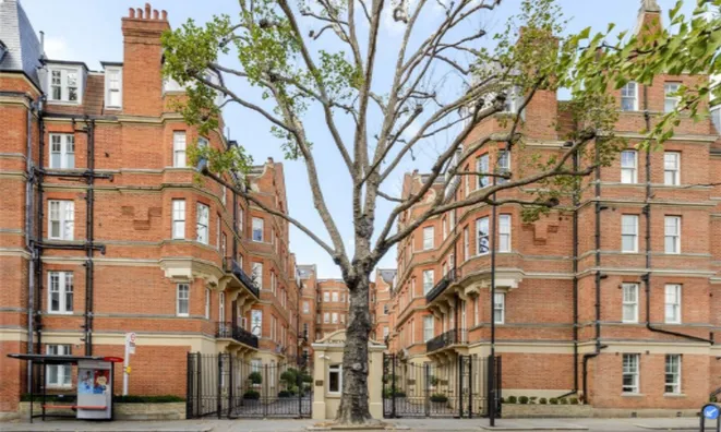 Недвижимость Royal Hospital Road, Chelsea: 4