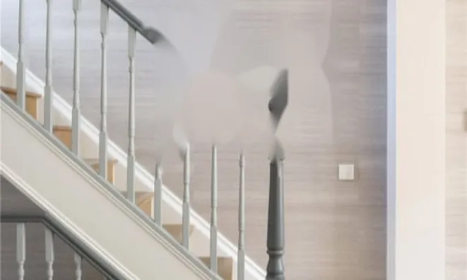 Недвижимость Glebe Place: 19