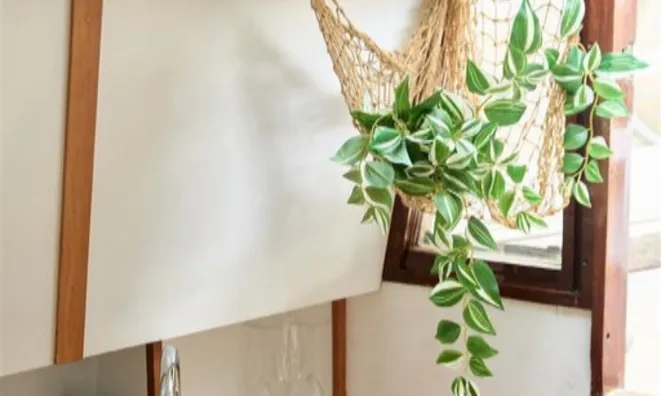 Недвижимость Chelsea Harbour, Chelsea: 3