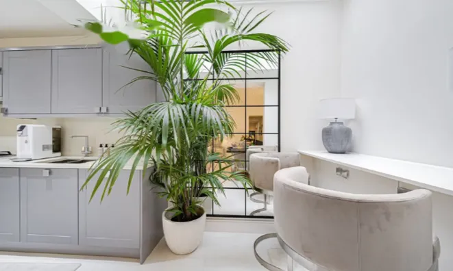 Недвижимость Redcliffe Square, Chelsea: 13