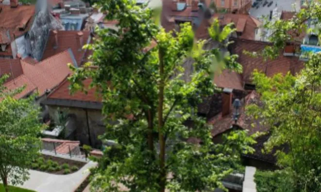 Недвижимость Дом, Центр Нового Любляны: 2