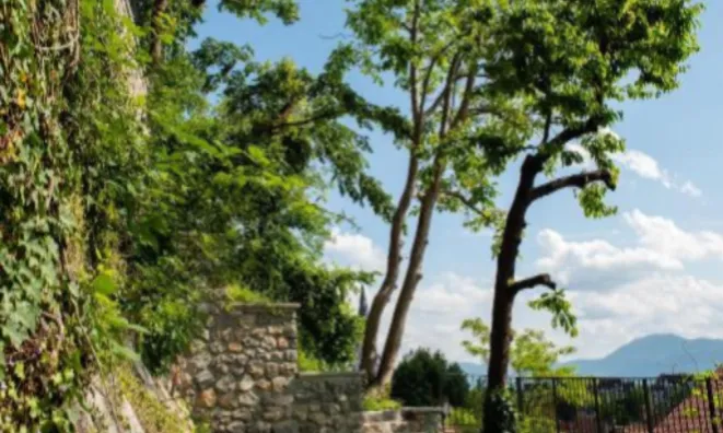 Недвижимость Дом, Центр Нового Любляны: 13