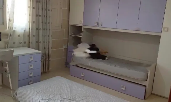 Недвижимость Marsalforn Seaview Haven: 6