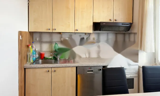 Недвижимость 1-комнатная квартира Новое Вевче: 2