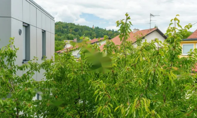 Недвижимость Квартира, 3 комнаты, Рожна Долина: 4