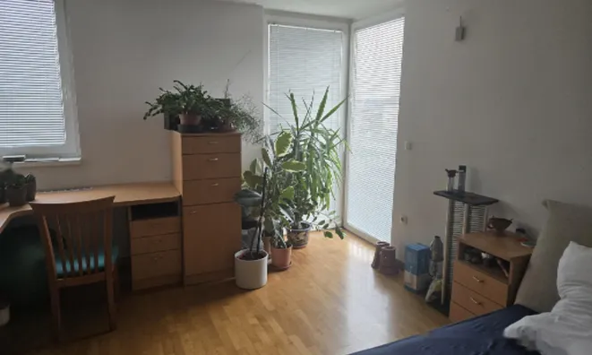 Недвижимость Новое 4-комнатное жилье: 8